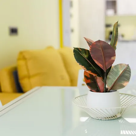 After Sun Apartamento *